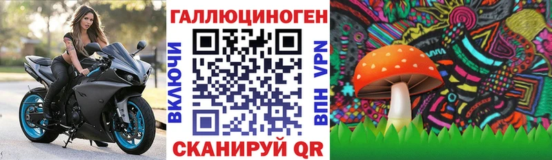 как найти наркотики  Никольское  Псилоцибиновые грибы мухоморы 